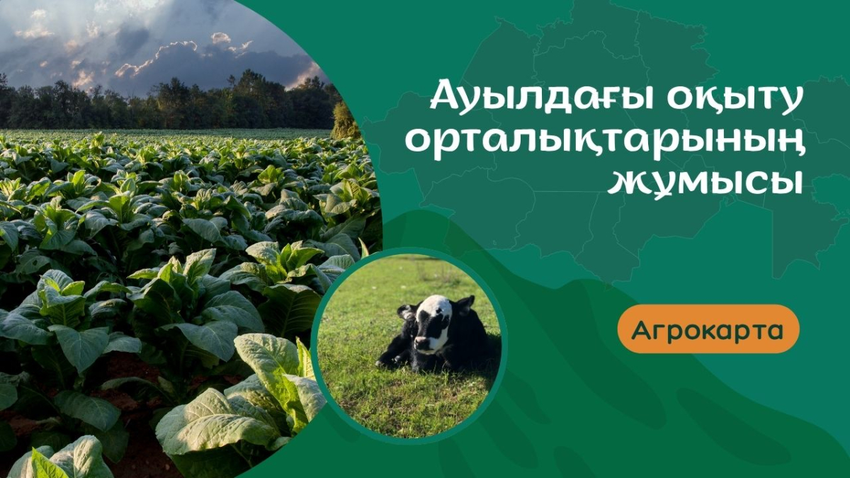 Ауылдағы білім: көрінбейтін мәселелер мен шынайы өмір