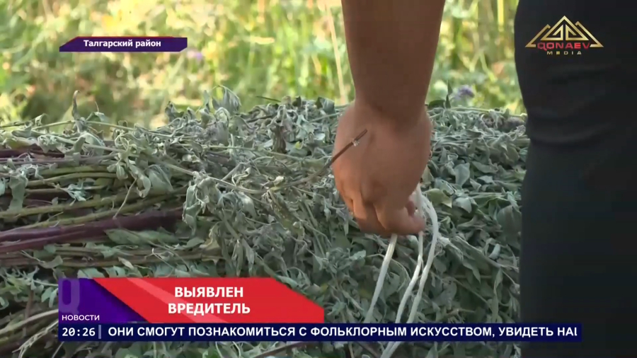 Собрал травы — получил штраф