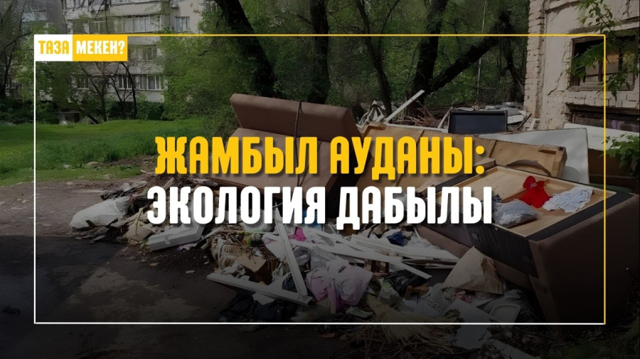 Жамбыл ауданындағы тазалық мәселесі назарда