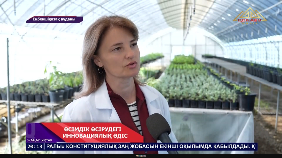 Өсімдік өсіру