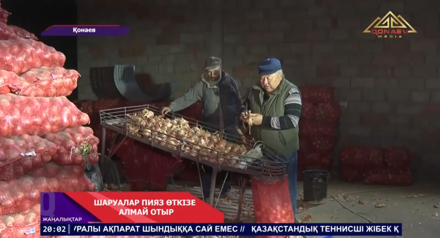 Пияз көп, табыс аз