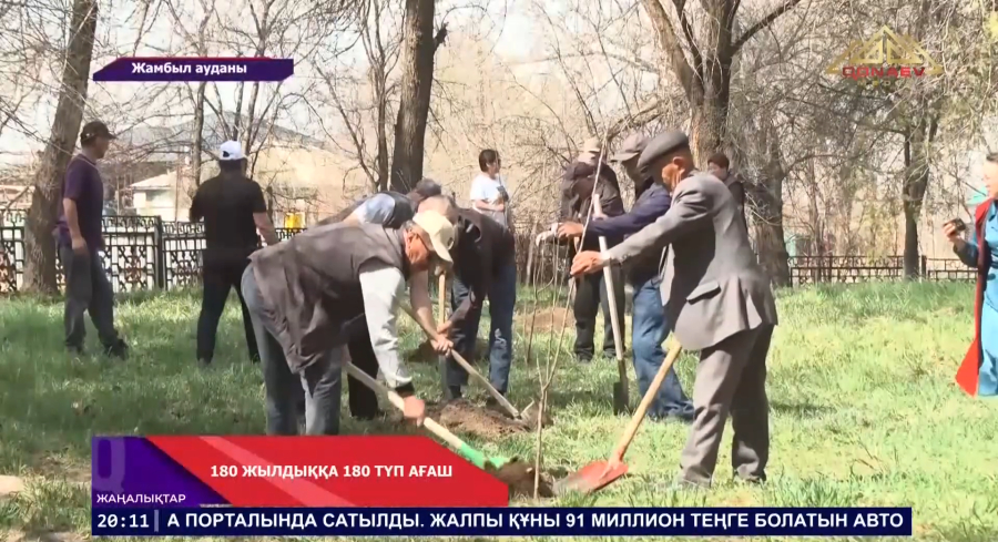 Жамбыл мұражайының аумағында 180 түп ағаш отырғызылды