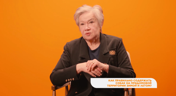 Правила содержания питомцев