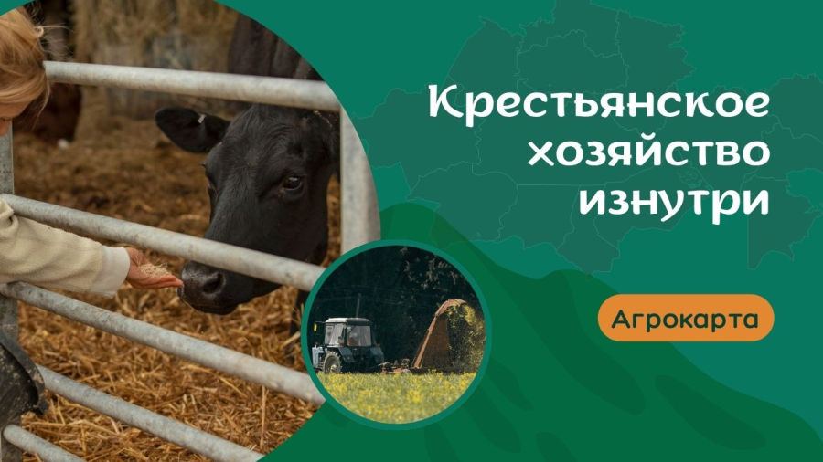 Как живёт и зарабатывает современное крестьянское хозяйство?