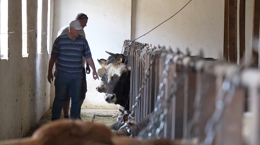 Сбыт сельско-хозяйственной продукции