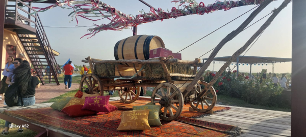 «Берекелі күз»: Алматы облысында алма мен жүзім терімі басталды