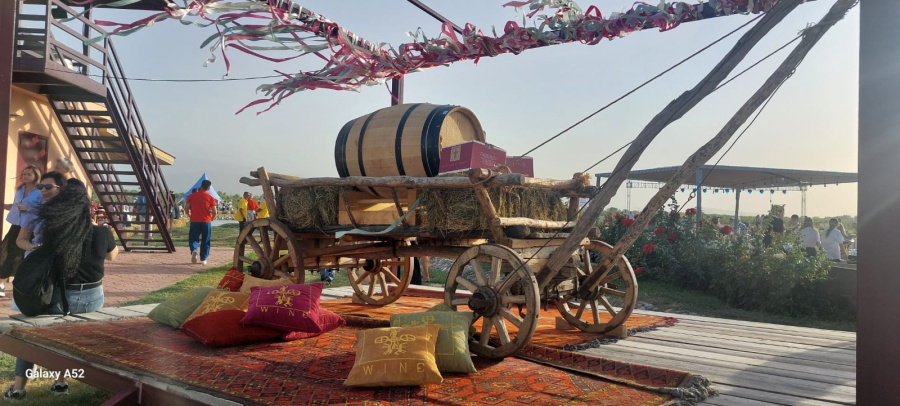 «Берекелі күз»: Алматы облысында алма мен жүзім терімі басталды