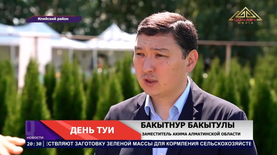 В Алматинской области выращивают тысячи вечнозелёных деревьев