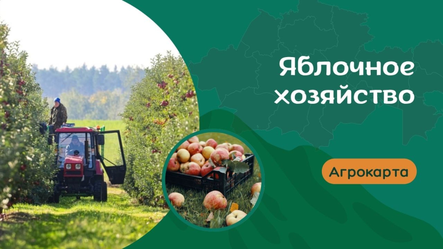 Яблоневые сады: технологии и перспективы