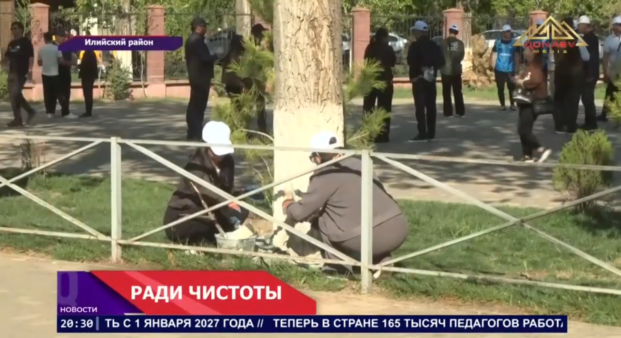 Ради чистоты