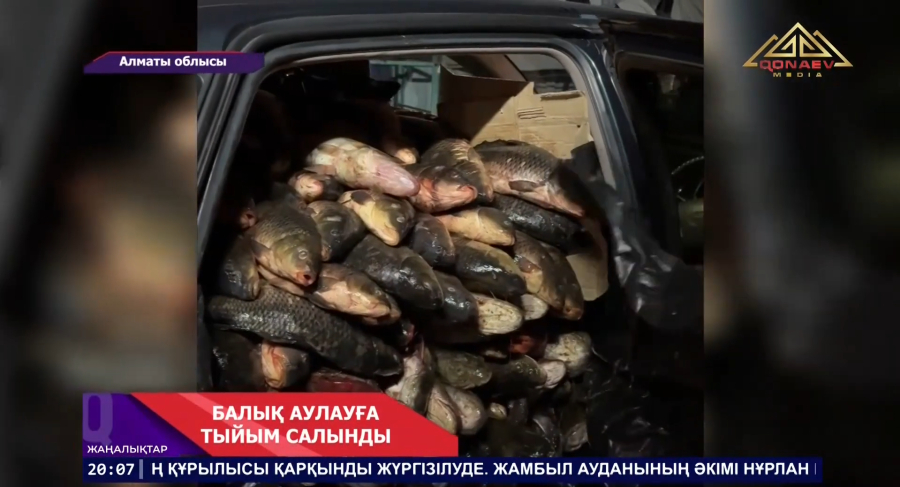 Балық аулауға тыйым салынды