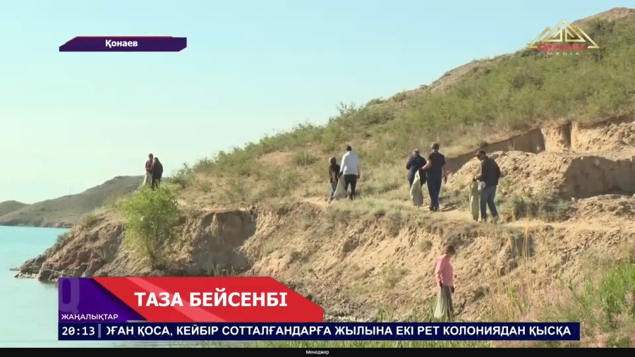 246 гектар аумақ тазартылды