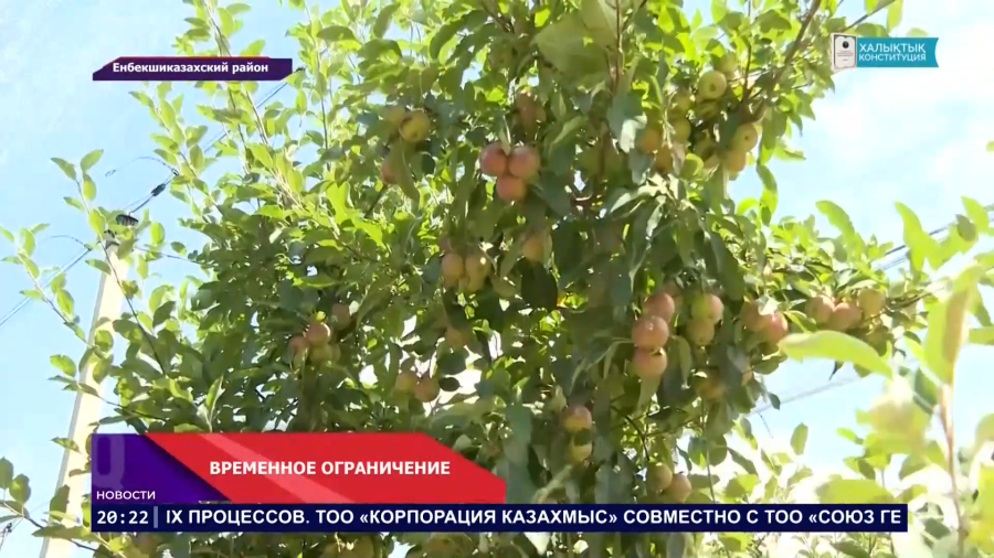 Введено ограничение импорта
