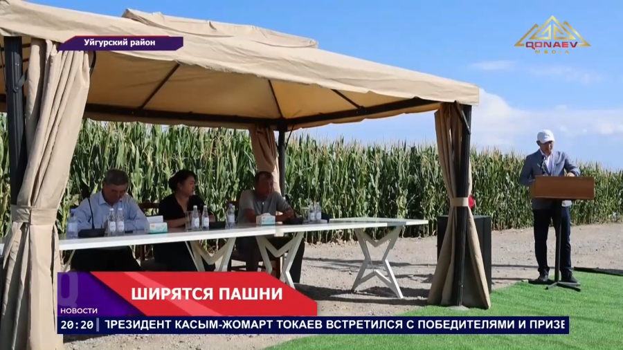 Пастбища превращают в пашни: в Уйгурском районе расширяют посевные площади