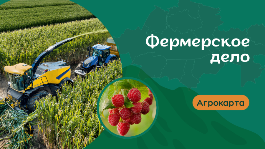 Настоящее фермерство: от сада до животноводства
