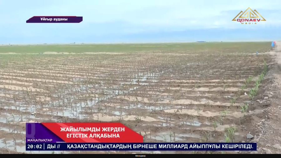 Жайылымды жерден егістік алқабына