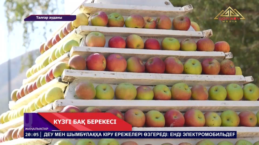 Күзгі бақ берекесі
