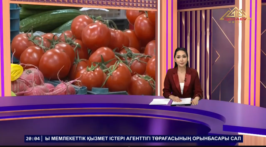 Көкөніс бағасы тұрақты