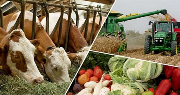 Алматинская область — в числе лидеров АПК Казахстана