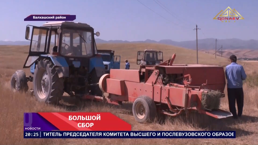 Большой сбор в Прибалхашье