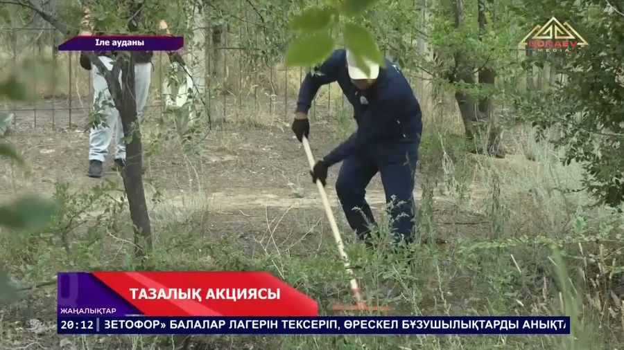 «Таза бейсенбі»