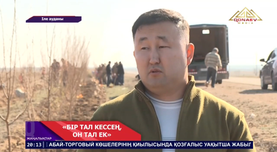 Іле ауданында 30 мыңнан астам жас көшет отырғызылады