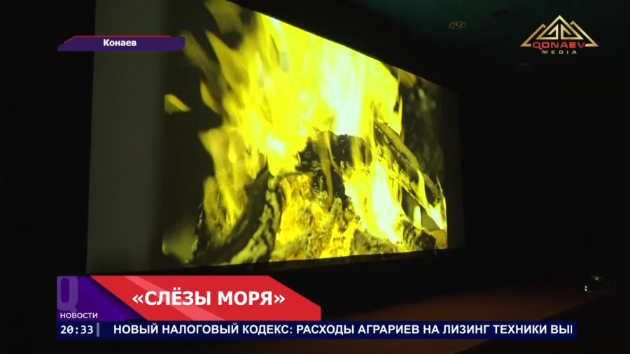 Истории из жизни