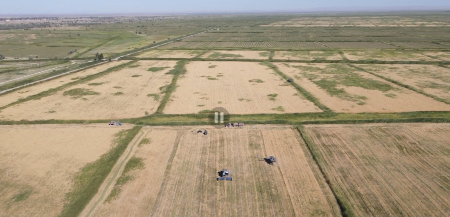 Агропромышленность Балхашского района