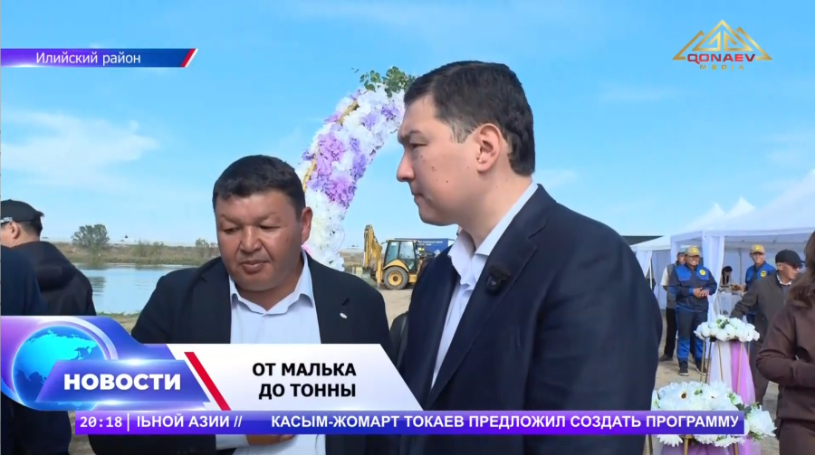 От 100 до 400 тонн
