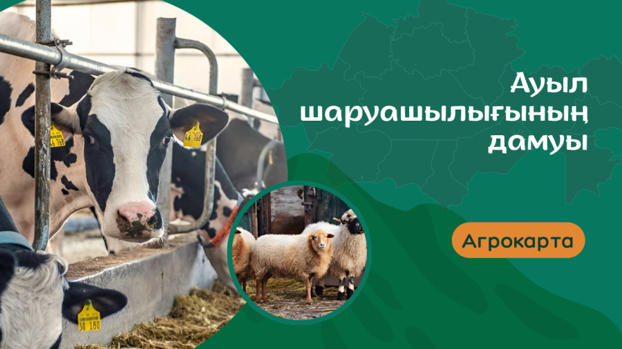 Ауыл шаруашылығының дамуы