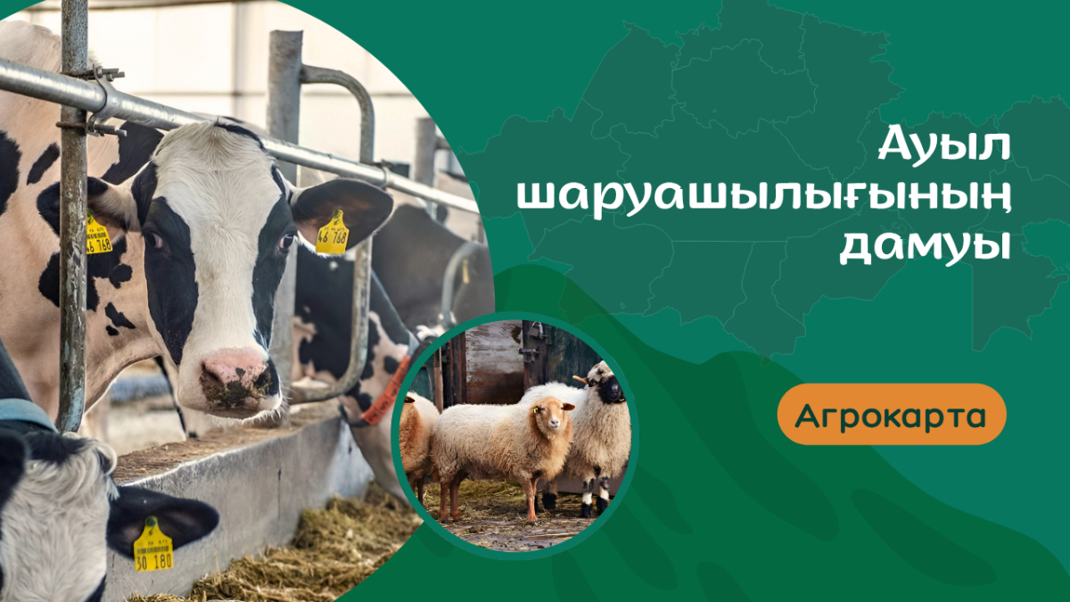 Ауыл шаруашылығының дамуы