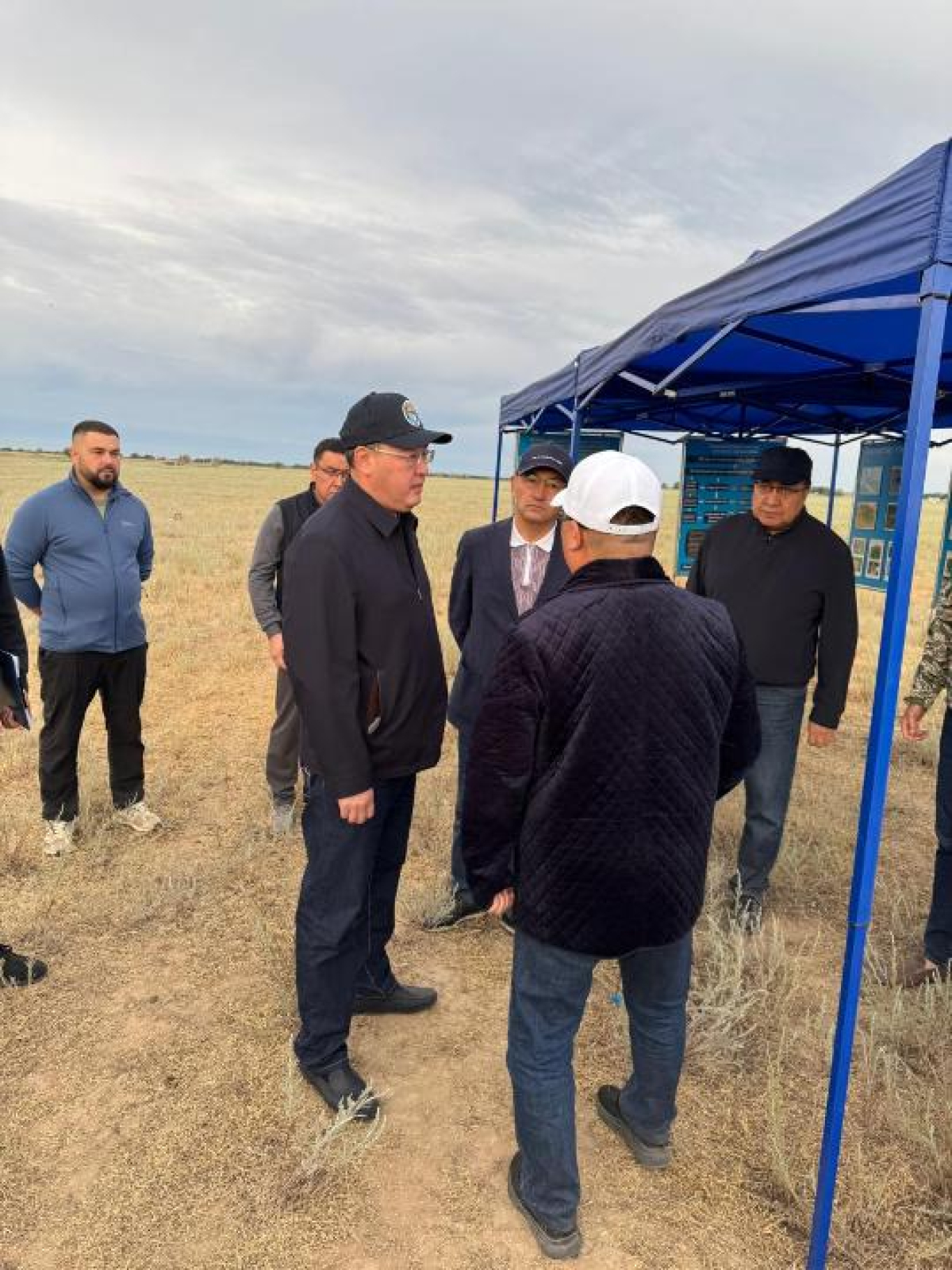 Алматы облысында шегірткеге қарсы күрес шаралары жоспарлы түрде жүргізілуде