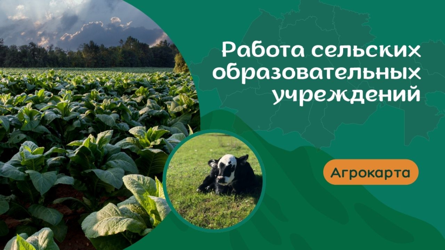 Образование на селе: состояние и перспективы