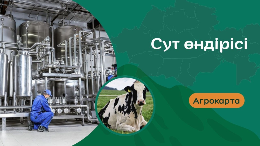 Райымбек ауданында сүт өндірісінің дамуы