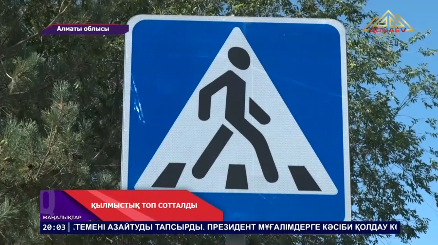 Алматы облысында 800-ден астам көлікті заңсыз тіркеген ұйымдасқан қылмыстық топ сотталды