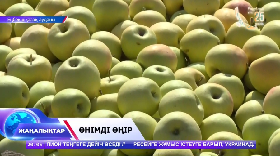 Ірі өндіріс аймағы ашылмақ