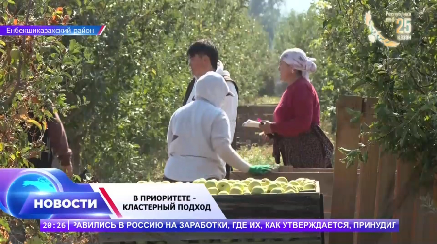 От яблоневых садов — к большим производствам!
