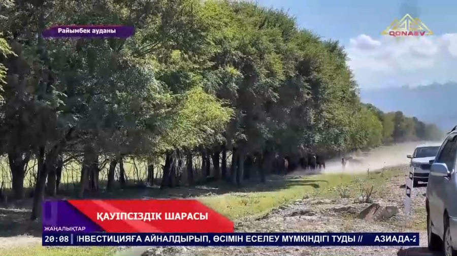 Қауіпсіздік шарасы