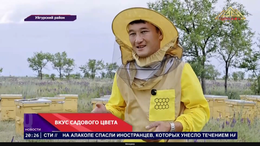 Рекордный медовый сезон в Уйгурском районе!