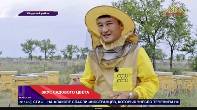 Рекордный медовый сезон в Уйгурском районе!