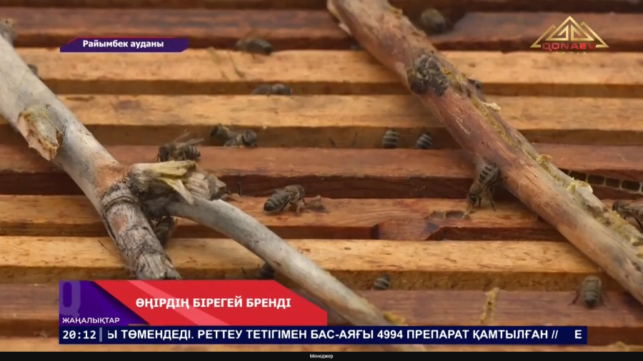 ӨҢІРДІҢ БІРЕГЕЙ БРЕНДІ