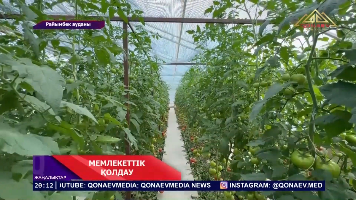 МЕМЛЕКЕТТІК ҚОЛДАУ