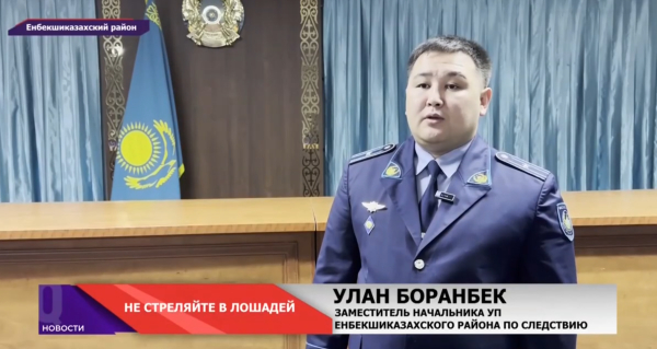 Задержаны стрелявшие в лошадей