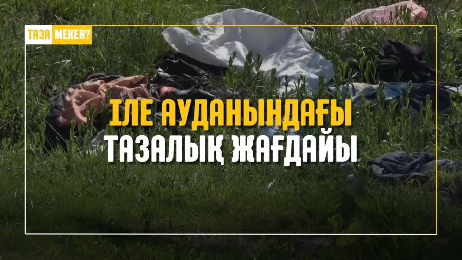 Іле ауданындағы тазалық жағдайы