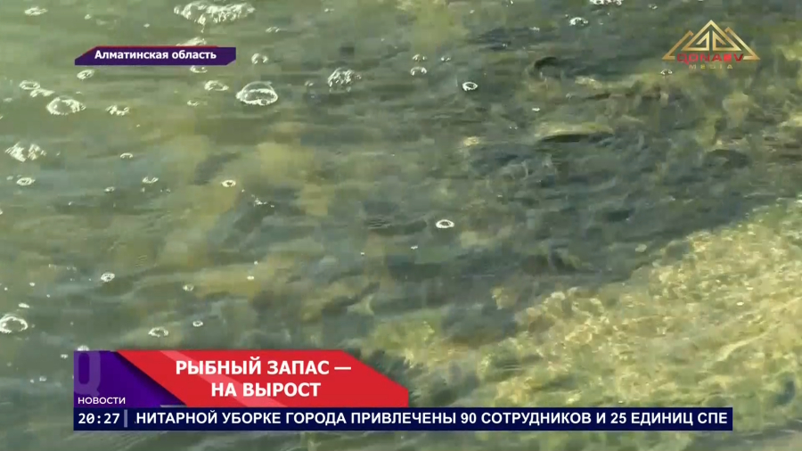 Формируются промысловые запасы