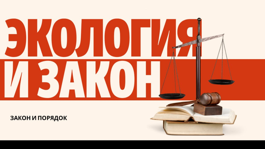Экология и закон: как контролируется использование природных ресурсов?