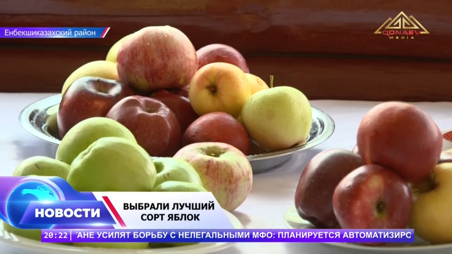 Вкусный выбор