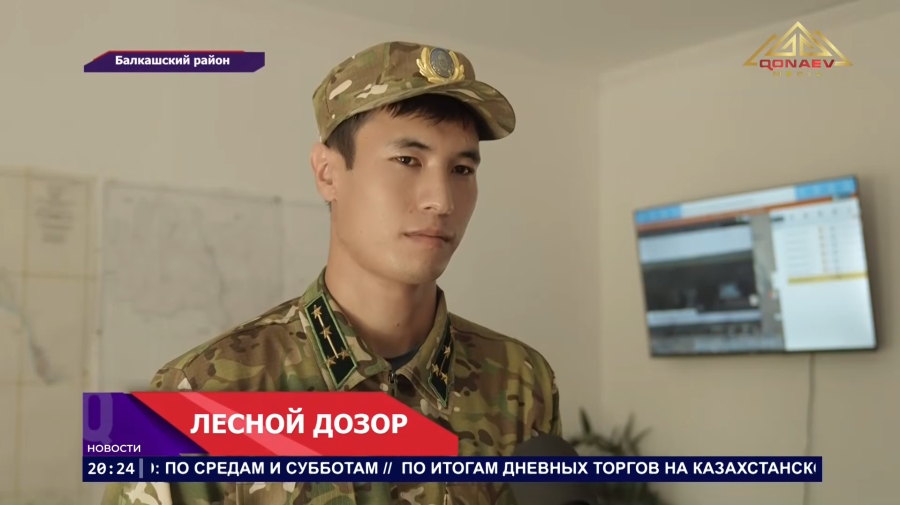 Лесные массивы Баканасского лесхоза  под контролем