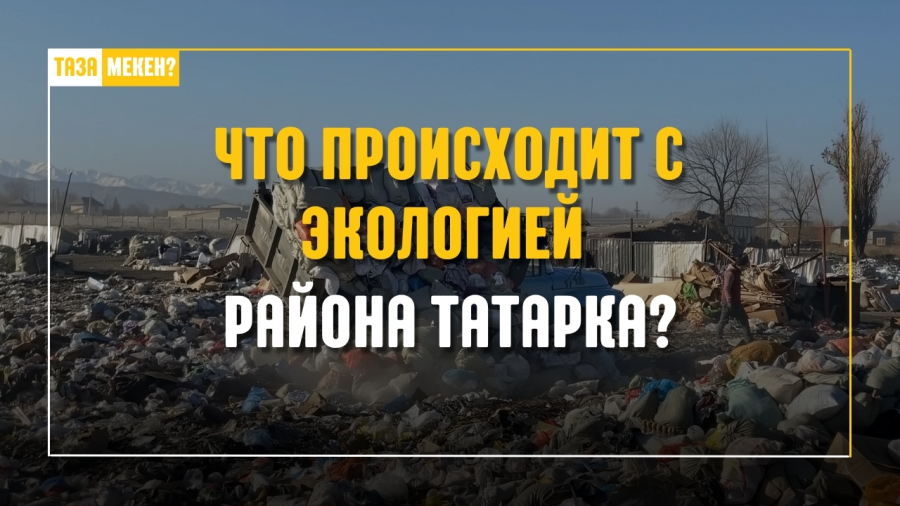 Проблема загрязнения и чистоты района Татарка