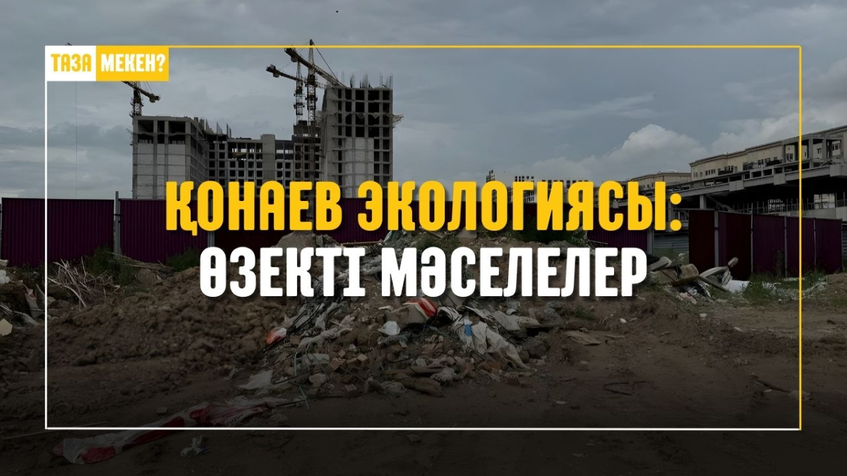 Қонаев аумағындағы санитарлық тазалықтың жай-күйі| ТАЗА МЕКЕН???